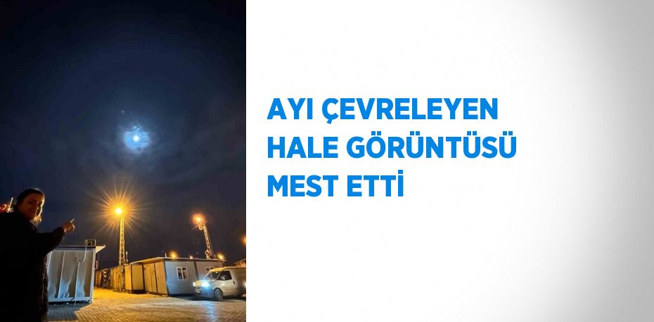 AYI ÇEVRELEYEN HALE GÖRÜNTÜSÜ MEST ETTİ