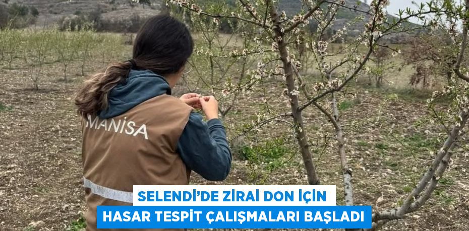 SELENDİ’DE ZİRAİ DON İÇİN HASAR TESPİT ÇALIŞMALARI BAŞLADI