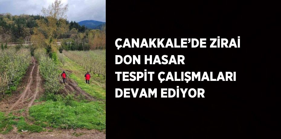 ÇANAKKALE’DE ZİRAİ DON HASAR TESPİT ÇALIŞMALARI DEVAM EDİYOR