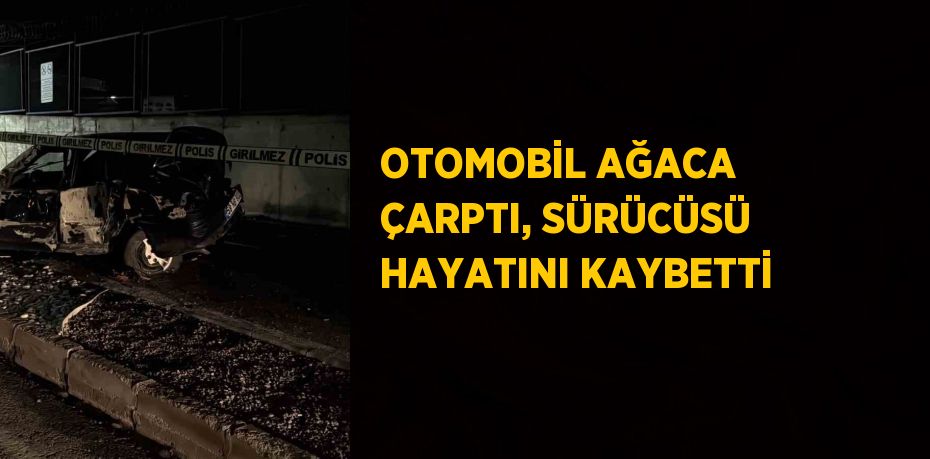 OTOMOBİL AĞACA ÇARPTI, SÜRÜCÜSÜ HAYATINI KAYBETTİ
