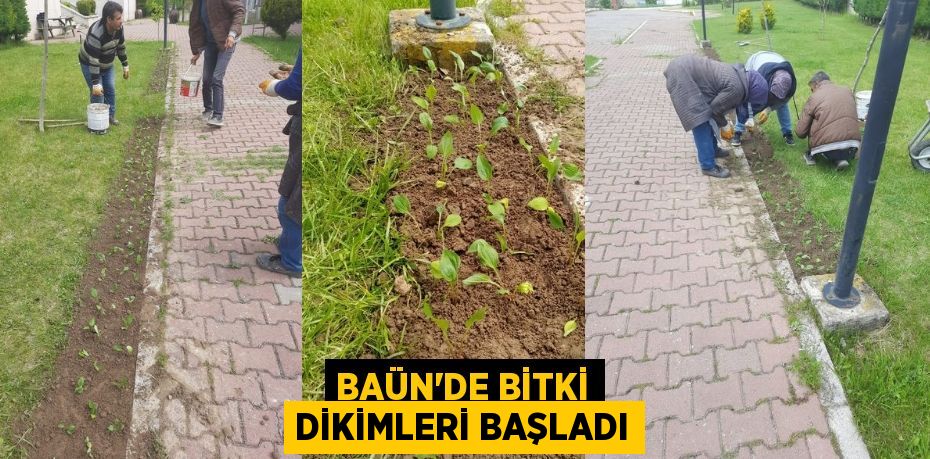 BAÜN’DE BİTKİ DİKİMLERİ BAŞLADI