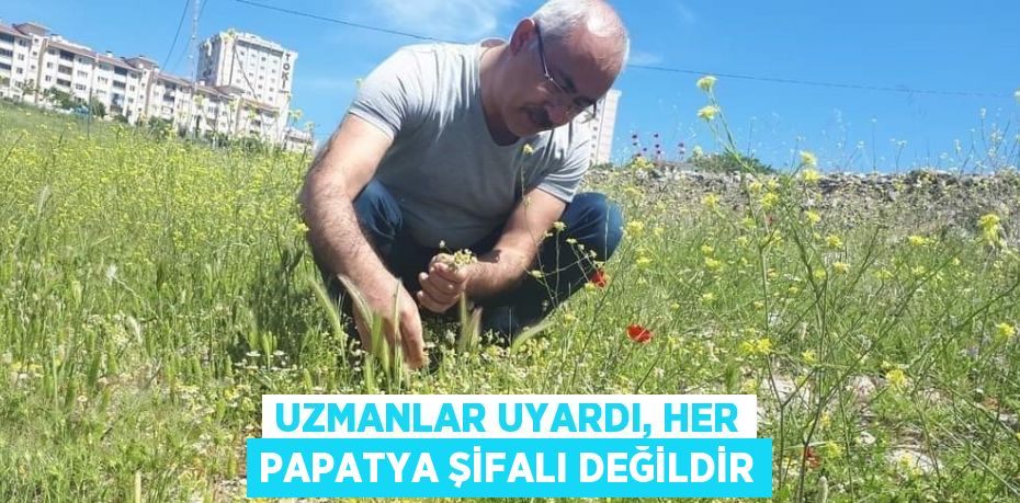 UZMANLAR UYARDI, HER PAPATYA ŞİFALI DEĞİLDİR