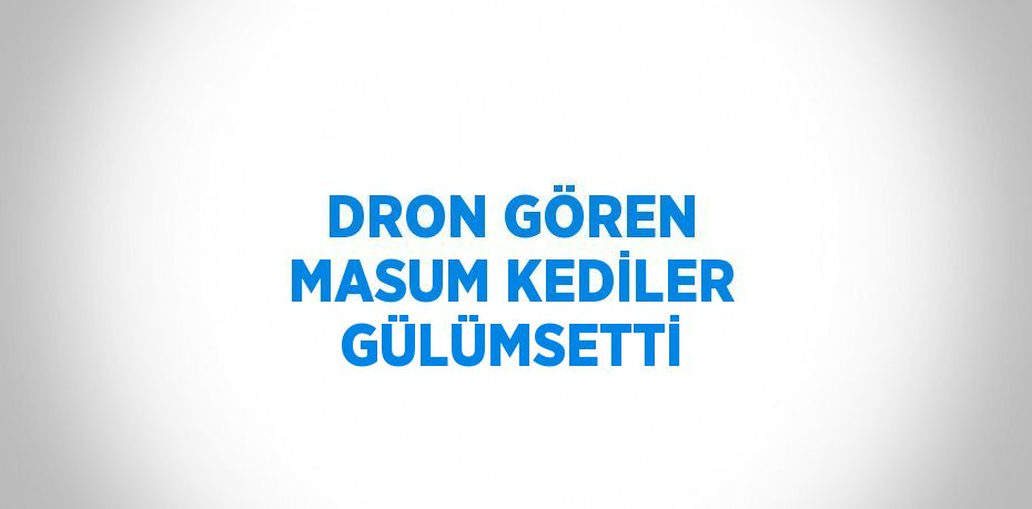 DRON GÖREN MASUM KEDİLER GÜLÜMSETTİ