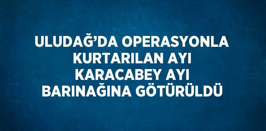 ULUDAĞ’DA OPERASYONLA KURTARILAN AYI KARACABEY AYI BARINAĞINA GÖTÜRÜLDÜ