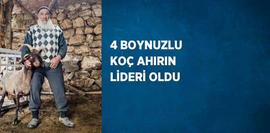 4 BOYNUZLU KOÇ AHIRIN LİDERİ OLDU