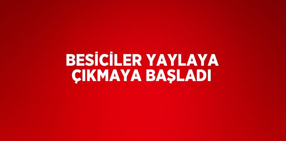 BESİCİLER YAYLAYA ÇIKMAYA BAŞLADI