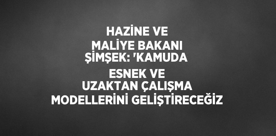 HAZİNE VE MALİYE BAKANI ŞİMŞEK: 'KAMUDA ESNEK VE UZAKTAN ÇALIŞMA MODELLERİNİ GELİŞTİRECEĞİZ