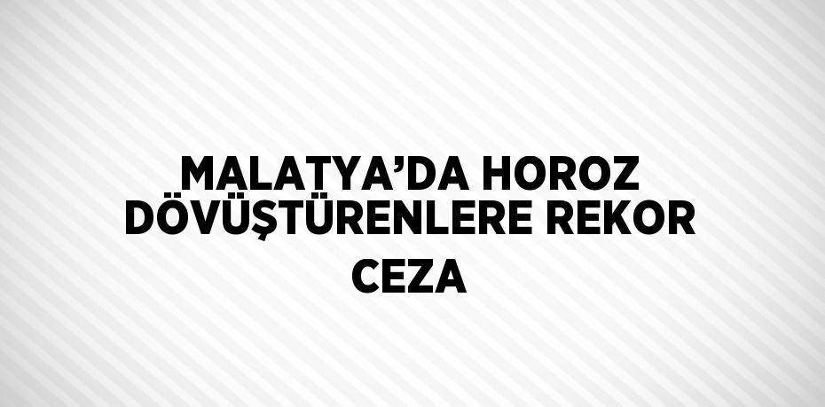 MALATYA’DA HOROZ DÖVÜŞTÜRENLERE REKOR CEZA