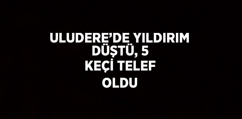 ULUDERE’DE YILDIRIM DÜŞTÜ, 5 KEÇİ TELEF OLDU