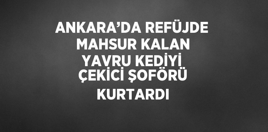 ANKARA’DA REFÜJDE MAHSUR KALAN YAVRU KEDİYİ ÇEKİCİ ŞOFÖRÜ KURTARDI