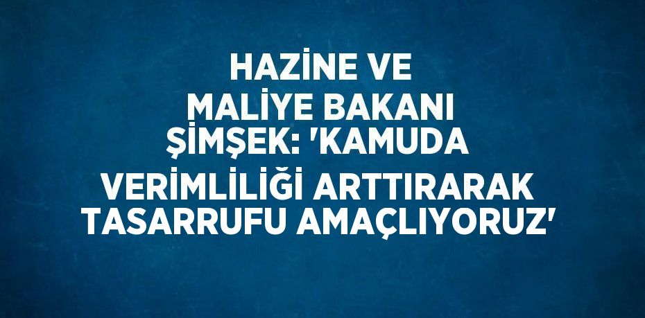 HAZİNE VE MALİYE BAKANI ŞİMŞEK: 'KAMUDA VERİMLİLİĞİ ARTTIRARAK TASARRUFU AMAÇLIYORUZ'