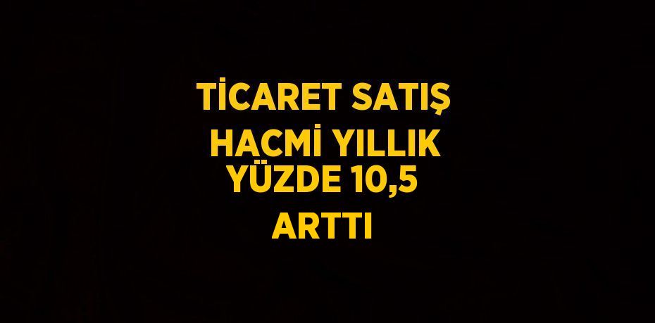 TİCARET SATIŞ HACMİ YILLIK YÜZDE 10,5 ARTTI