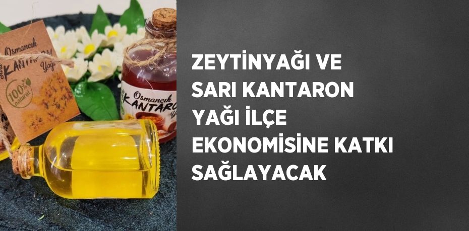 ZEYTİNYAĞI VE SARI KANTARON YAĞI İLÇE EKONOMİSİNE KATKI SAĞLAYACAK