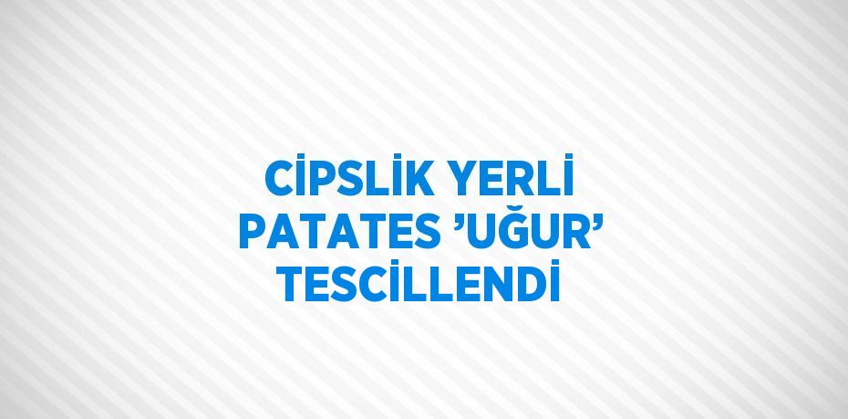 CİPSLİK YERLİ PATATES ’UĞUR’ TESCİLLENDİ