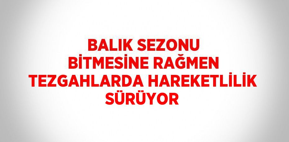 BALIK SEZONU BİTMESİNE RAĞMEN TEZGAHLARDA HAREKETLİLİK SÜRÜYOR
