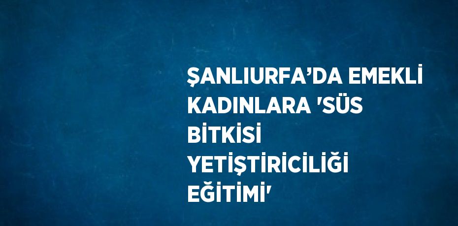 ŞANLIURFA’DA EMEKLİ KADINLARA 'SÜS BİTKİSİ YETİŞTİRİCİLİĞİ EĞİTİMİ'