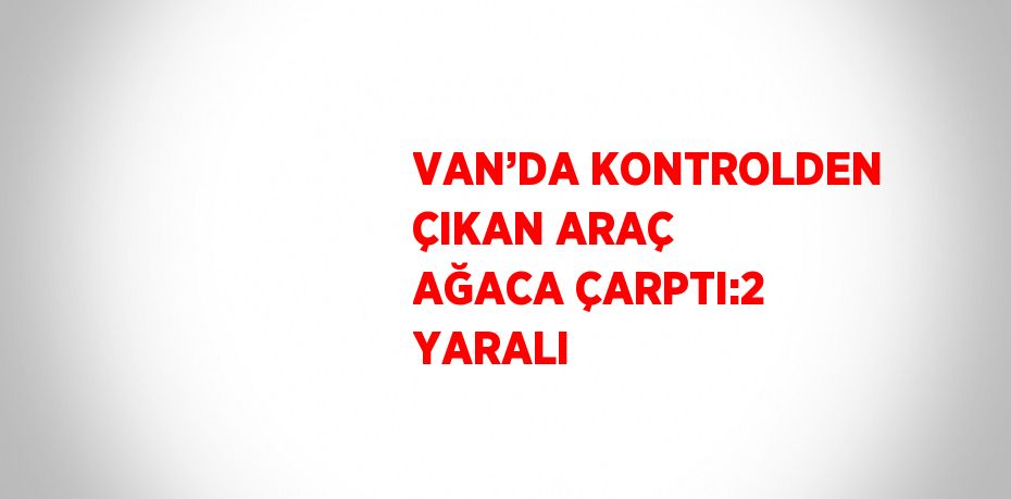 VAN’DA KONTROLDEN ÇIKAN ARAÇ AĞACA ÇARPTI:2 YARALI