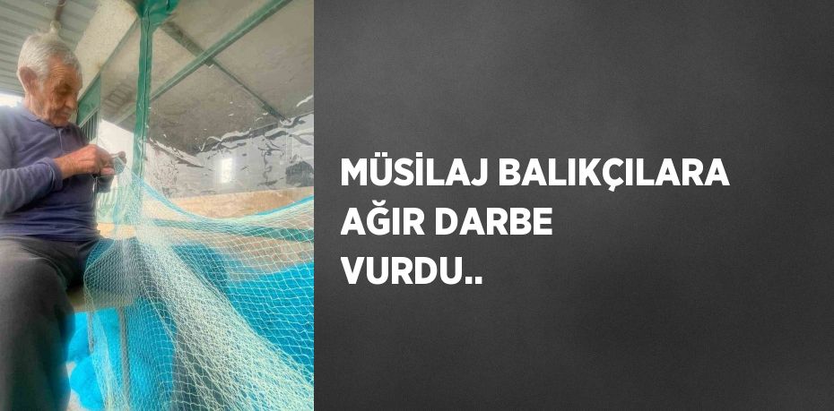 MÜSİLAJ BALIKÇILARA AĞIR DARBE VURDU..