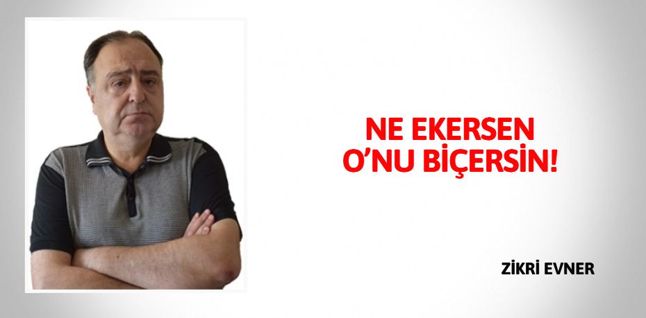 NE EKERSEN O’NU BİÇERSİN!