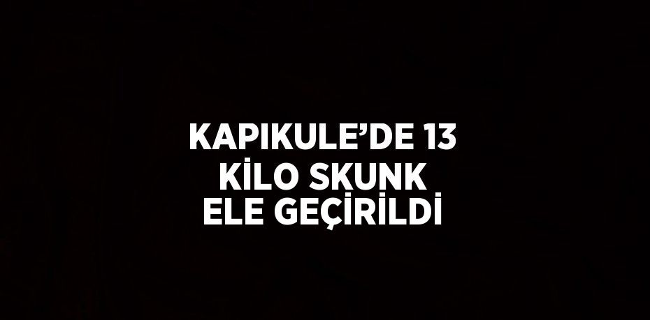 KAPIKULE’DE 13 KİLO SKUNK ELE GEÇİRİLDİ