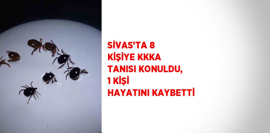 SİVAS’TA 8 KİŞİYE KKKA TANISI KONULDU, 1 KİŞİ HAYATINI KAYBETTİ