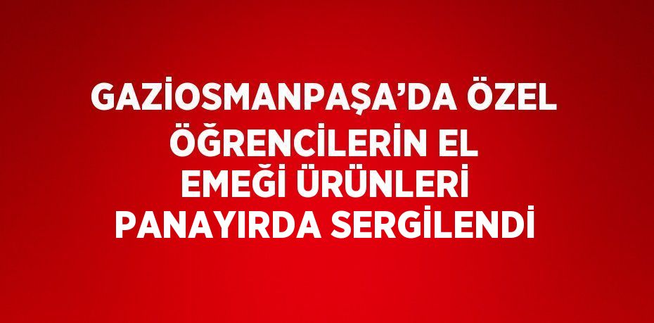 GAZİOSMANPAŞA’DA ÖZEL ÖĞRENCİLERİN EL EMEĞİ ÜRÜNLERİ PANAYIRDA SERGİLENDİ