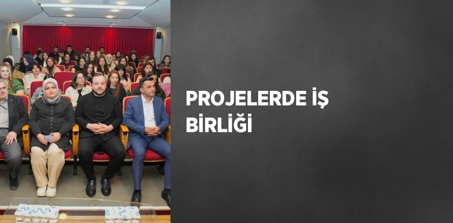 PROJELERDE İŞ BİRLİĞİ