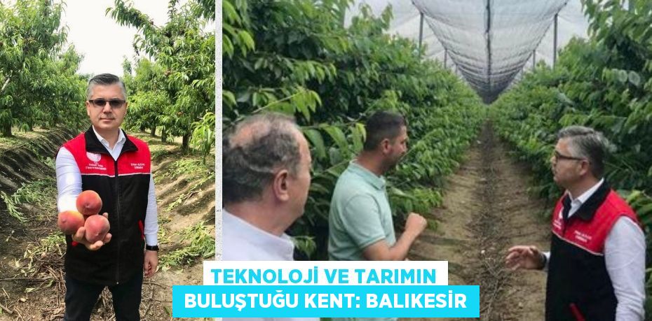 Teknoloji ve tarımın  buluştuğu kent: Balıkesir