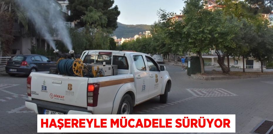 HAŞEREYLE MÜCADELE SÜRÜYOR