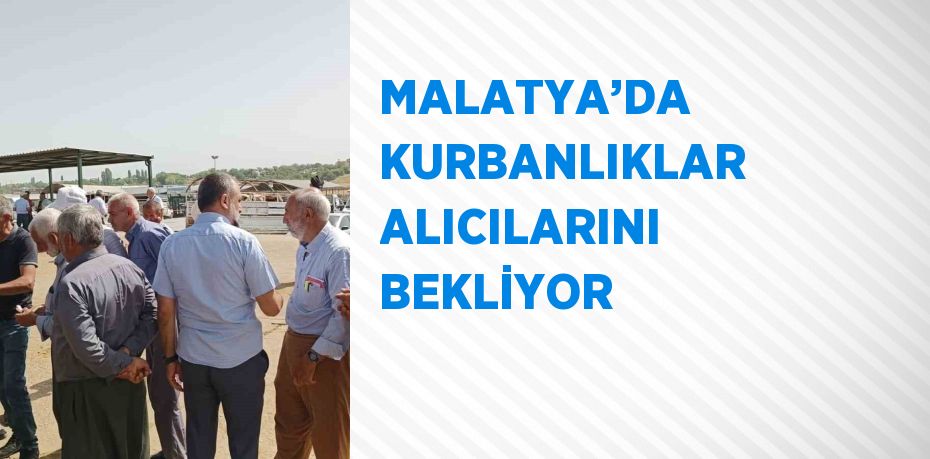 MALATYA’DA KURBANLIKLAR ALICILARINI BEKLİYOR