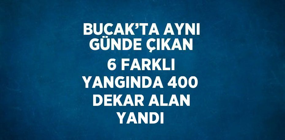 BUCAK’TA AYNI GÜNDE ÇIKAN 6 FARKLI YANGINDA 400 DEKAR ALAN YANDI