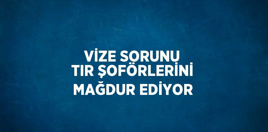 VİZE SORUNU TIR ŞOFÖRLERİNİ MAĞDUR EDİYOR