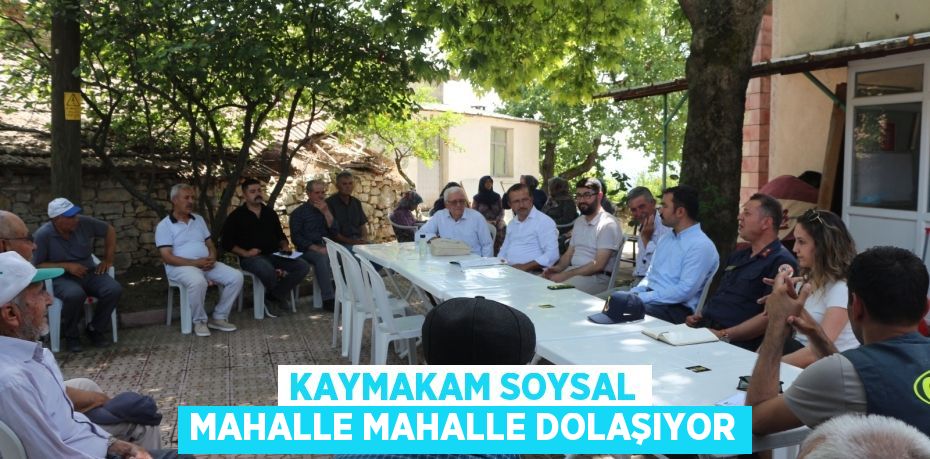 KAYMAKAM SOYSAL MAHALLE MAHALLE DOLAŞIYOR