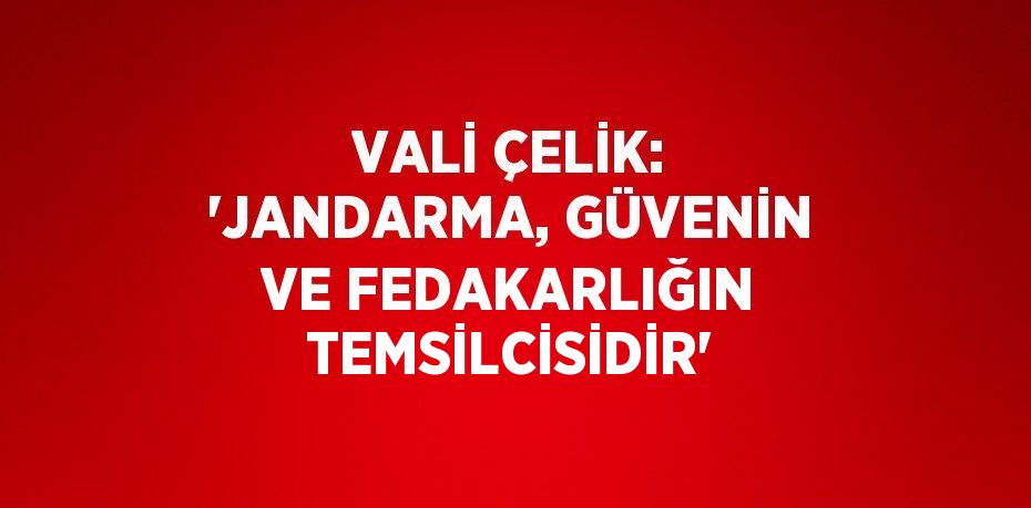 VALİ ÇELİK: 'JANDARMA, GÜVENİN VE FEDAKARLIĞIN TEMSİLCİSİDİR'