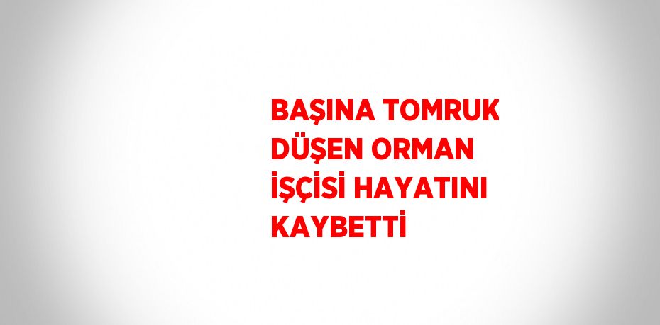 BAŞINA TOMRUK DÜŞEN ORMAN İŞÇİSİ HAYATINI KAYBETTİ
