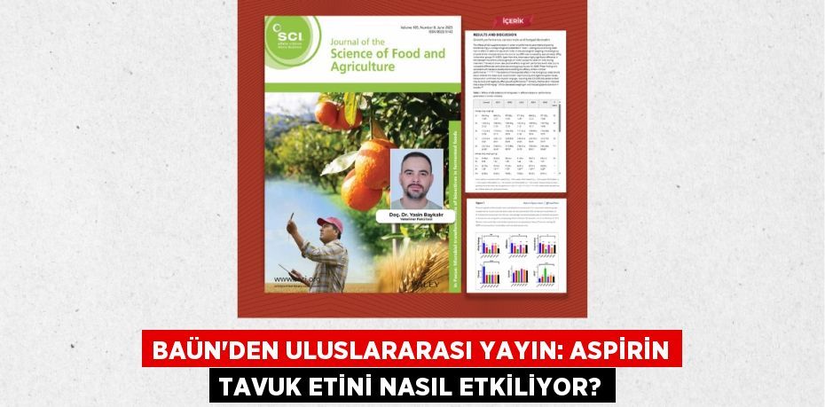 BAÜN’DEN ULUSLARARASI YAYIN: ASPİRİN TAVUK ETİNİ NASIL ETKİLİYOR?