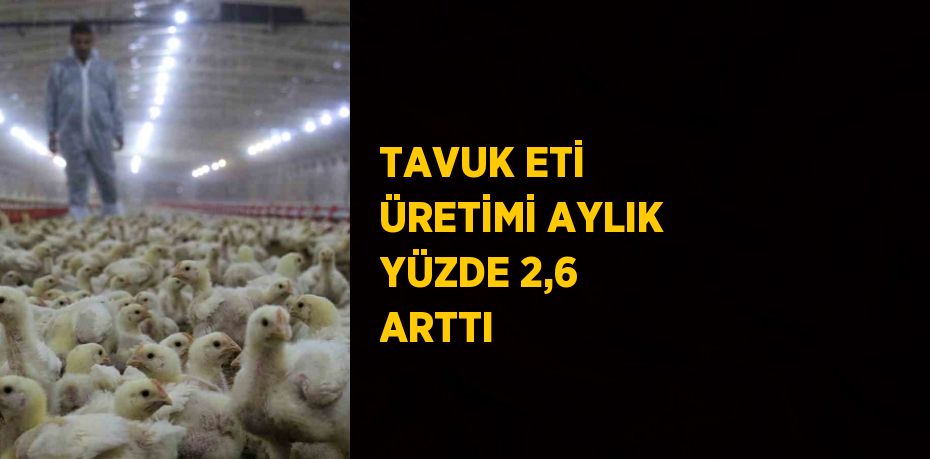 TAVUK ETİ ÜRETİMİ AYLIK YÜZDE 2,6 ARTTI