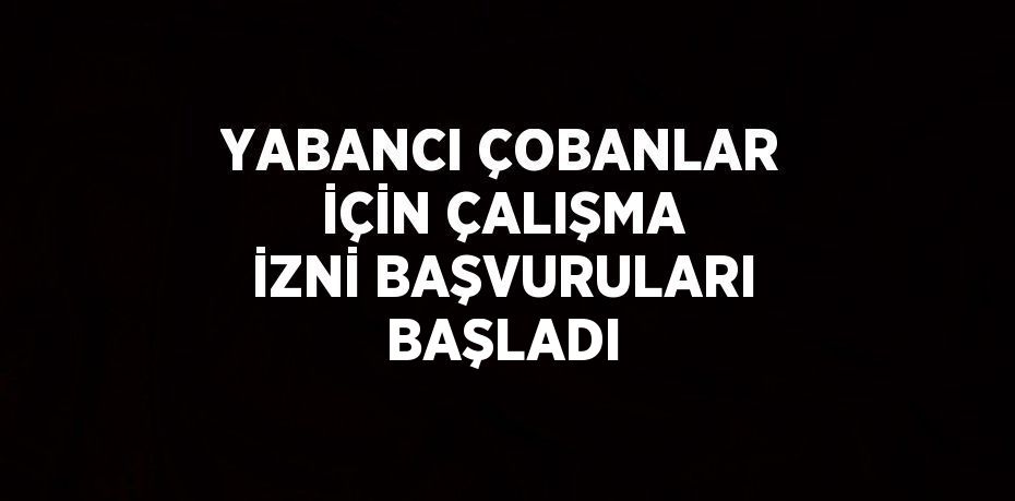 YABANCI ÇOBANLAR İÇİN ÇALIŞMA İZNİ BAŞVURULARI BAŞLADI