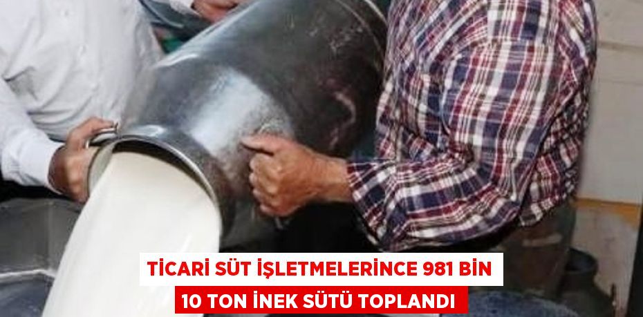 TİCARİ SÜT İŞLETMELERİNCE 981 BİN 10 TON İNEK SÜTÜ TOPLANDI