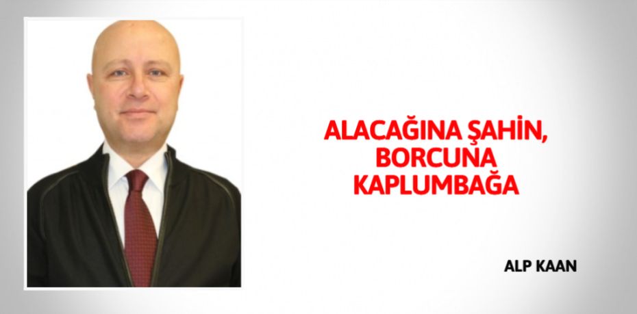 ALACAĞINA ŞAHİN, BORCUNA KAPLUMBAĞA