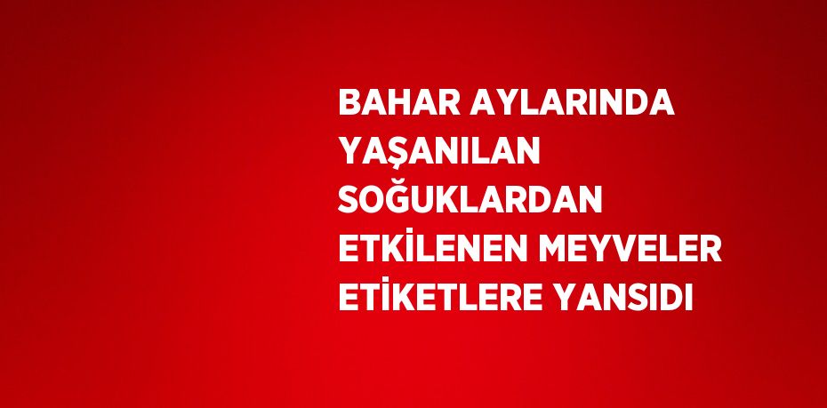 BAHAR AYLARINDA YAŞANILAN SOĞUKLARDAN ETKİLENEN MEYVELER ETİKETLERE YANSIDI