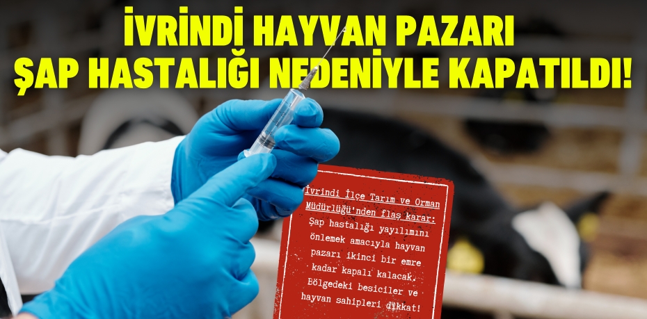 İvrindi Hayvan Pazarı Şap Hastalığı Nedeniyle Kapatıldı!