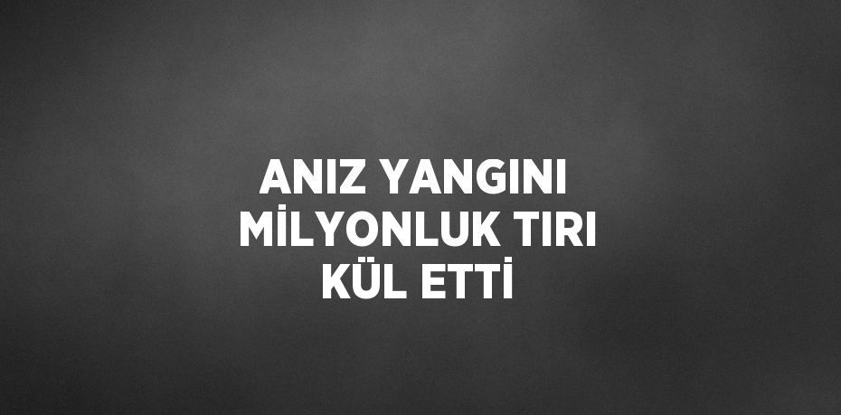 ANIZ YANGINI MİLYONLUK TIRI KÜL ETTİ