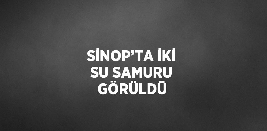 SİNOP’TA İKİ SU SAMURU GÖRÜLDÜ