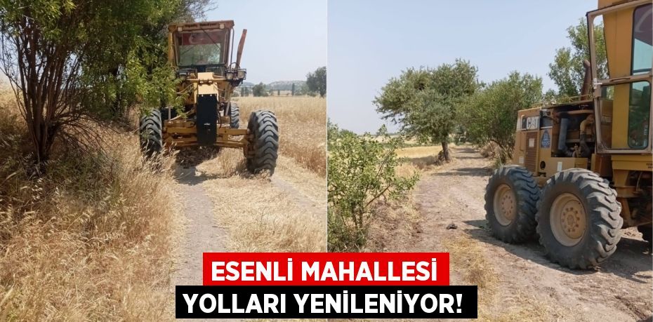 Esenli Mahallesi Yolları Yenileniyor!