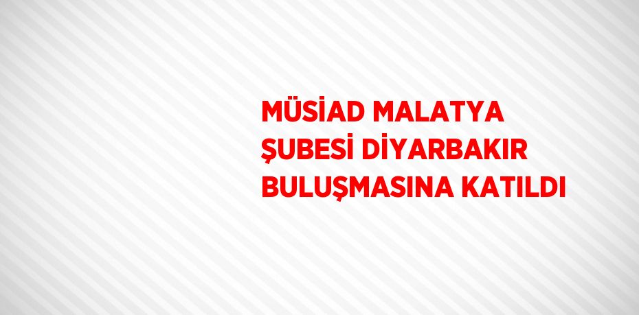MÜSİAD MALATYA ŞUBESİ DİYARBAKIR BULUŞMASINA KATILDI