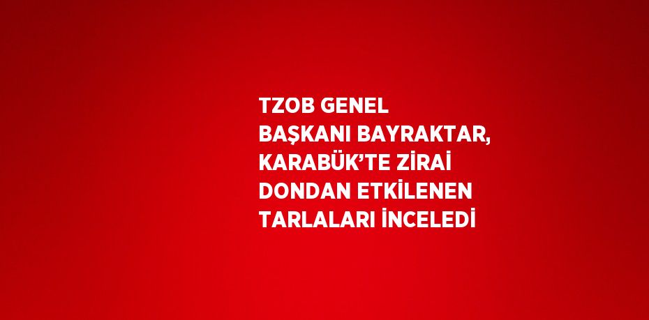 TZOB GENEL BAŞKANI BAYRAKTAR, KARABÜK’TE ZİRAİ DONDAN ETKİLENEN TARLALARI İNCELEDİ