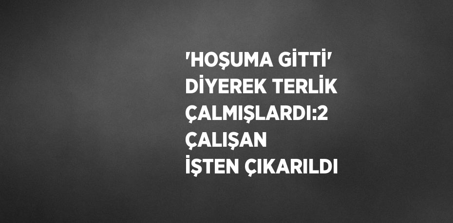 'HOŞUMA GİTTİ' DİYEREK TERLİK ÇALMIŞLARDI:2 ÇALIŞAN İŞTEN ÇIKARILDI