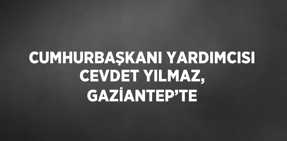 CUMHURBAŞKANI YARDIMCISI CEVDET YILMAZ, GAZİANTEP’TE