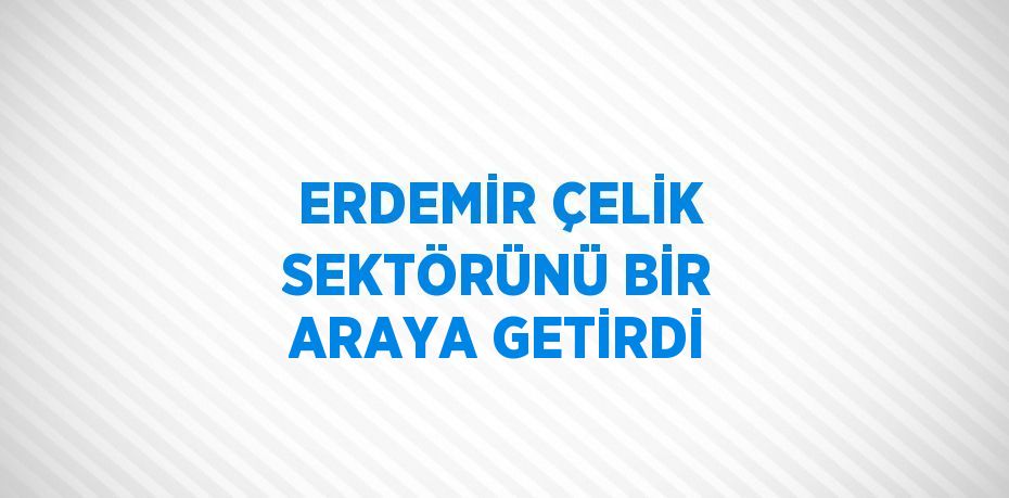 ERDEMİR ÇELİK SEKTÖRÜNÜ BİR ARAYA GETİRDİ